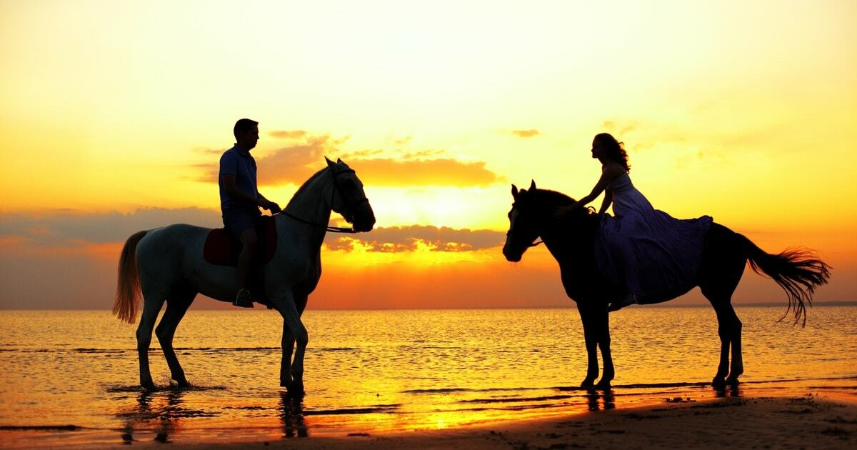  Конные прогулки